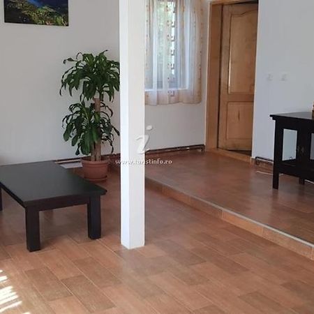 Apartmán Casa Din Deal Poiana Mărului Exteriér fotografie